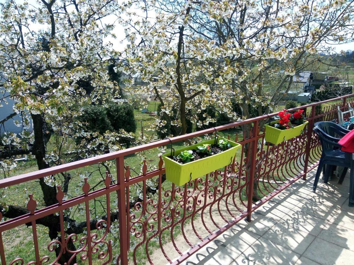 Homestay Strozowka Görlitz Exterior foto